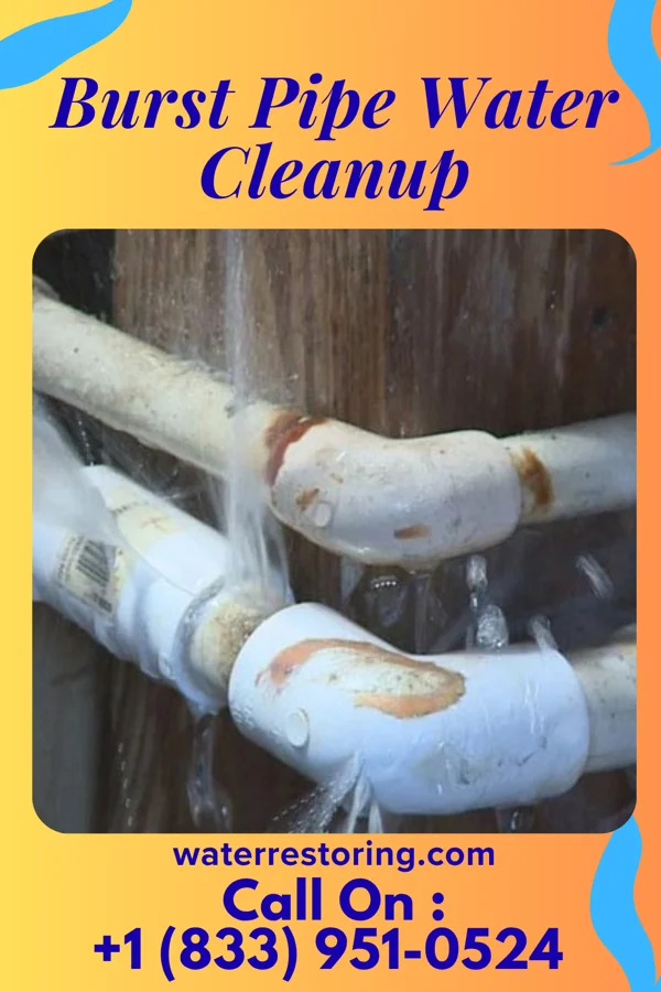 Burst Pipe Water Cleanup in Willard, UT
