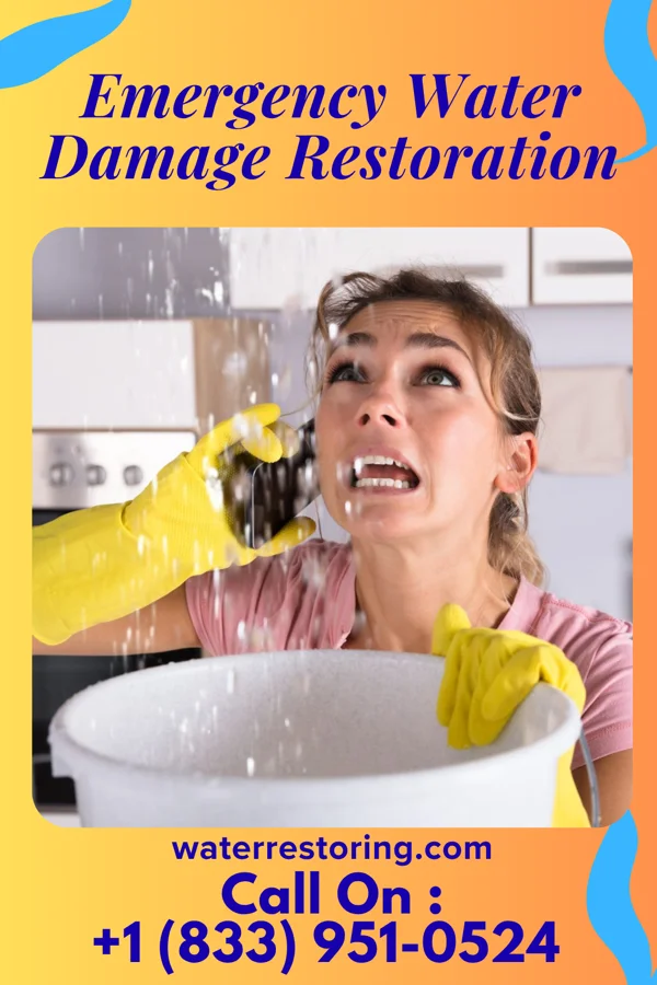 Emergency Water Damage Restoration in Willard, UT